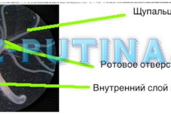 Кракен сайт купить наркотики