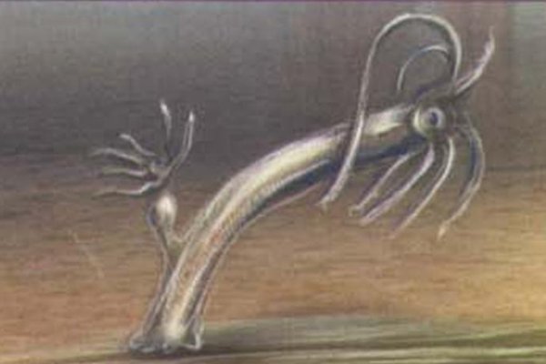 2krn