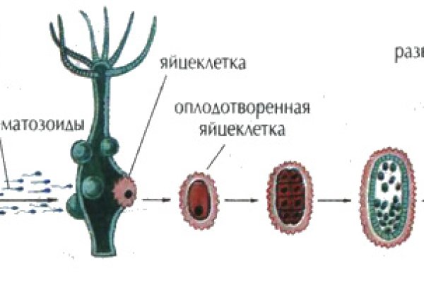 Даркнет москва