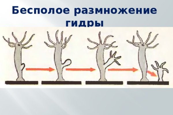 Забыл пароль кракен